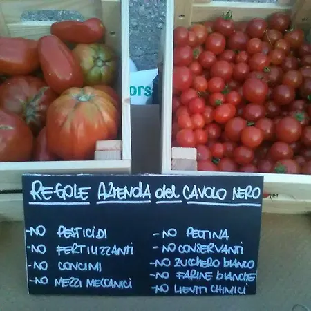 別荘 Il Cavolo Nero